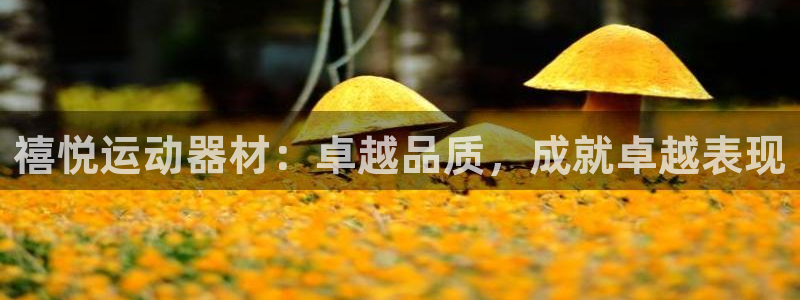意昂体育3招商电话：禧悦运动器材：卓越品质，成就卓越