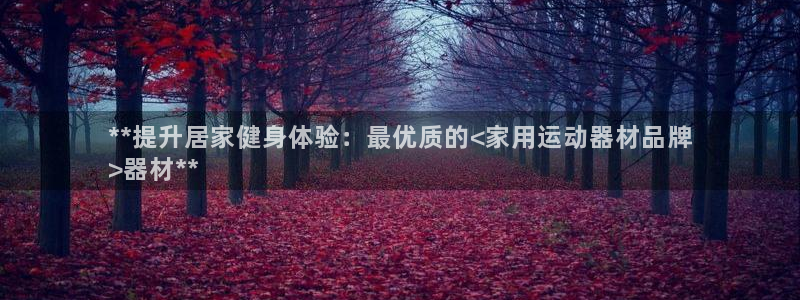 意昂3娱乐是那个系列的台子：**提升居家健身体验：最
