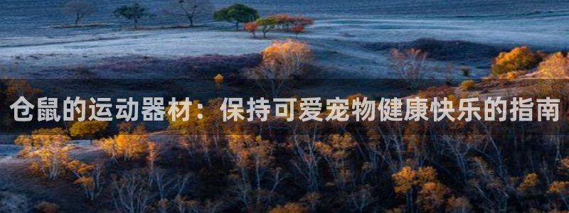 意昂体育3平台注册流程图：仓鼠的运动器材：保持可爱宠