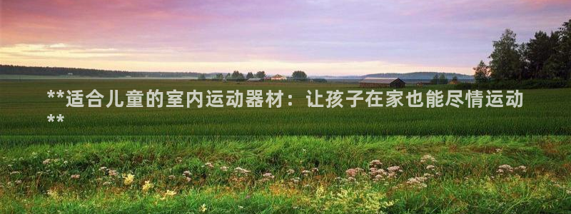意昂3娱乐是那个系列的台子：**适合儿童的室内运动器