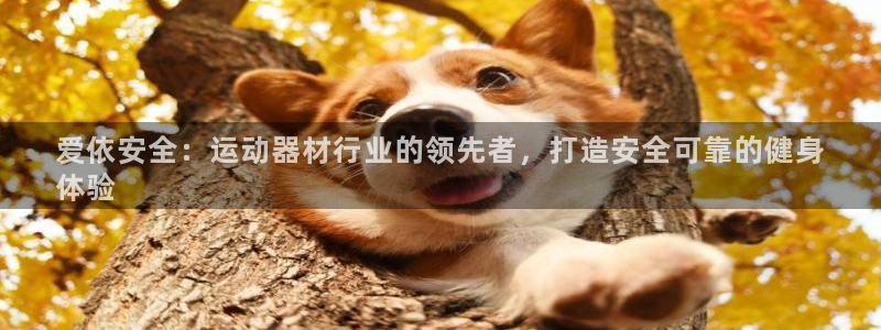 意昂3娱乐是那个系列的台子：爱依安全：运动器材行业的