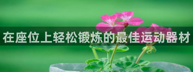 意昂体育3招商电话号码：在座位上轻松锻炼的最佳运动器