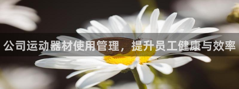 意昂3集团官网首页：公司运动器材使用管理，提升员工健