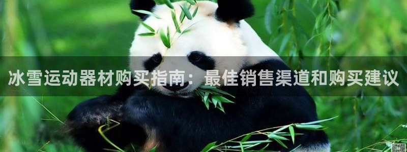 意昂3娱乐首页网站大全：冰雪运动器材购买指南：最佳销