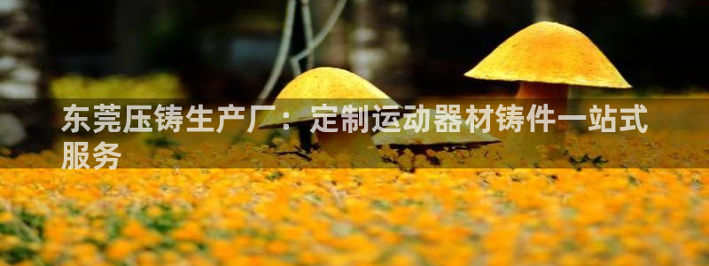 意昂体育3招商电话号码查询是多少：东莞压铸生产厂：定