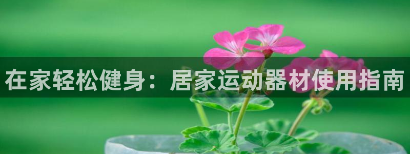 意昂体育3官方客服电话：在家轻松健身：居家运动器材使