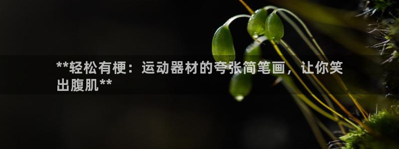 意昂3集团官网首页网址：**轻松有梗：运动器材的夸张