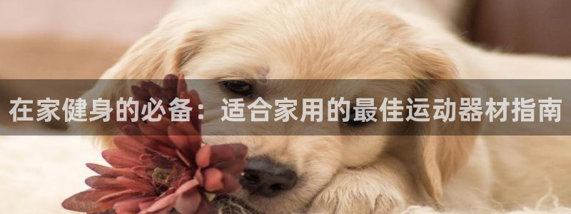 意昂体育3软件：在家健身的必备：适合家用的最佳运动器