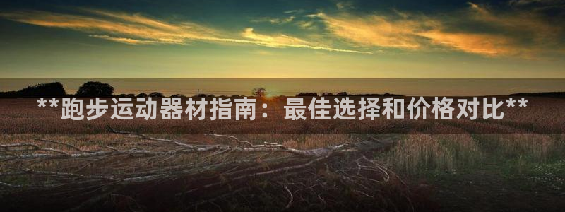意昂体育3：**跑步运动器材指南：最佳选择和价格对比