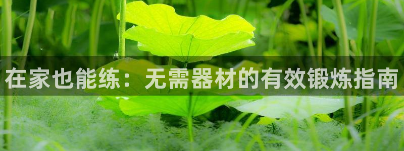 意昂体育3娱乐：在家也能练：无需器材的有效锻炼指南