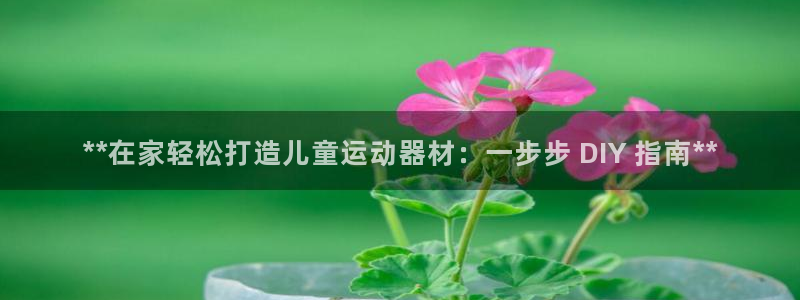 意昂体育3平台：**在家轻松打造儿童运动器材：一步步