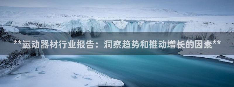 意昂体育3平台是正规平台吗：**运动器材行业报告：洞