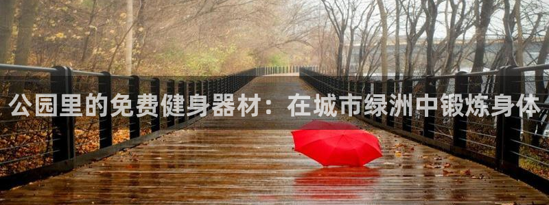 意昂平台体育：公园里的免费健身器材：在城市绿洲中锻炼