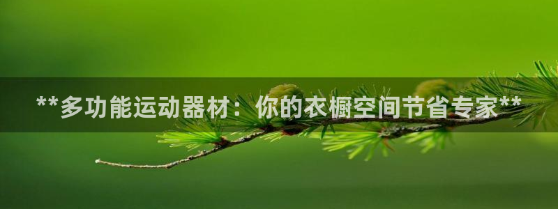 意昂3代理：**多功能运动器材：你的衣橱空间节省专家