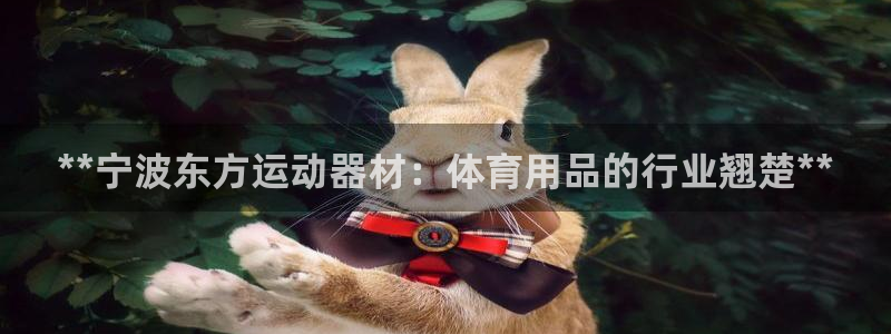 意昂3娱乐代理怎么样：**宁波东方运动器材：体育用品