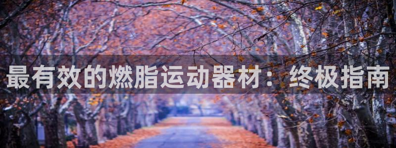 意昂体育3平台APP：最有效的燃脂运动器材：终极指南