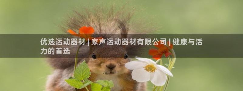意昂体育3招商电话是多少啊：优选运动器材 | 家声运