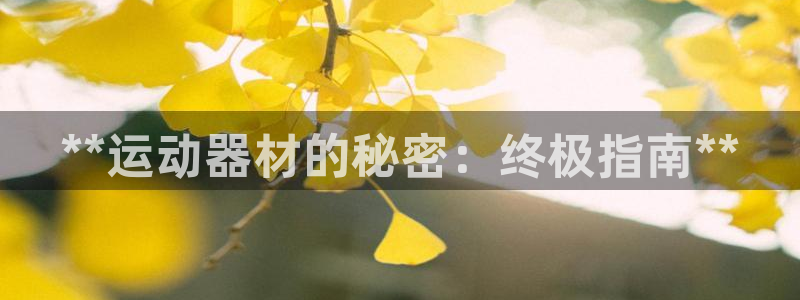 意昂3集团：**运动器材的秘密：终极指南**