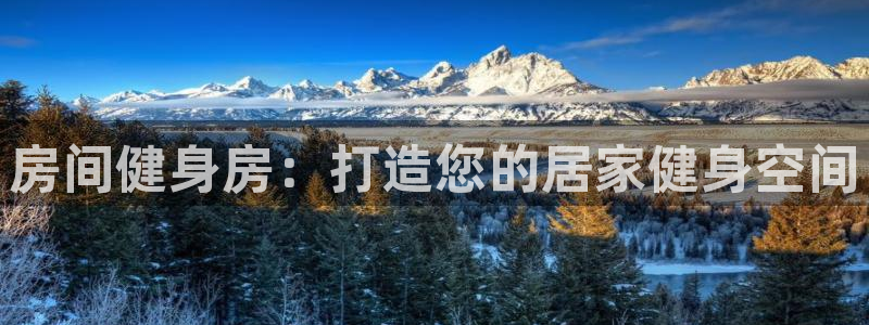 意昂体育3平台注册：房间健身房：打造您的居家健身空间