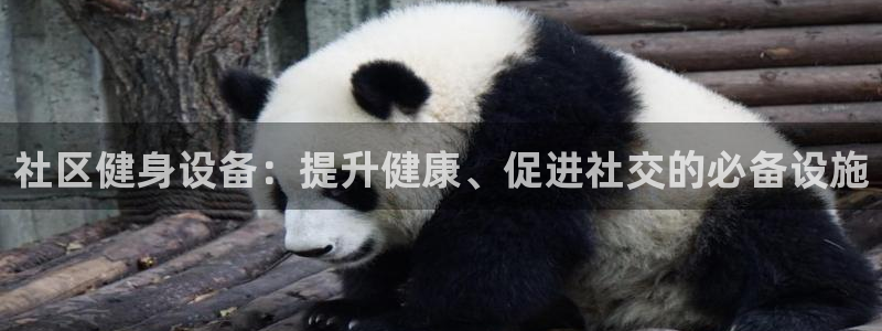 意昂体育3平台是正规平台吗安全吗：社区健身设备：提升