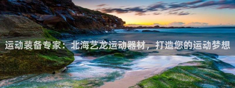 意昂体育3联系电话：运动装备专家：北海艺龙运动器材，