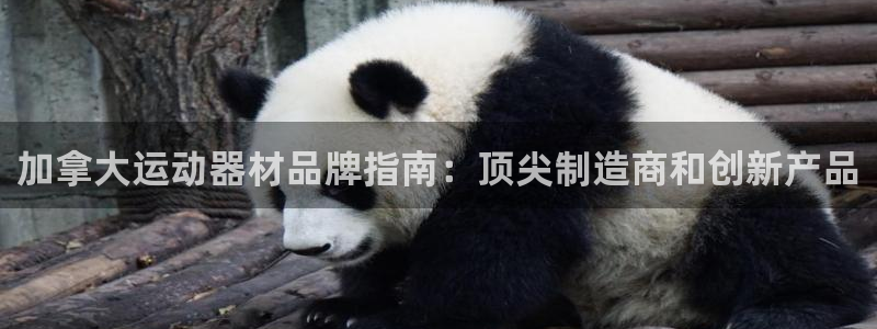 意昂体育3官方客服电话：加拿大运动器材品牌指南：顶尖