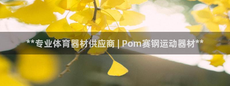 意昂3官网：**专业体育器材供应商 | Pom赛钢运