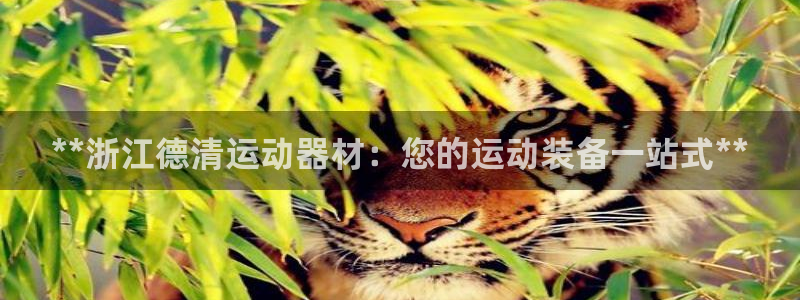 意昂3娱乐：**浙江德清运动器材：您的运动装备一站式