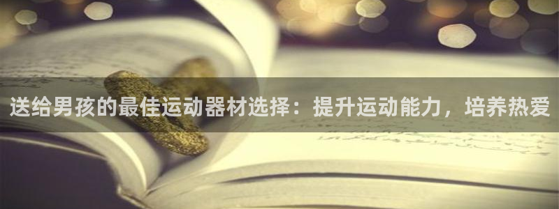 意昂3集团官网网址：送给男孩的最佳运动器材选择：提升