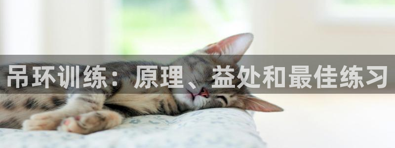 意昂体育3平台注册要钱吗安全吗：吊环训练：原理、益处
