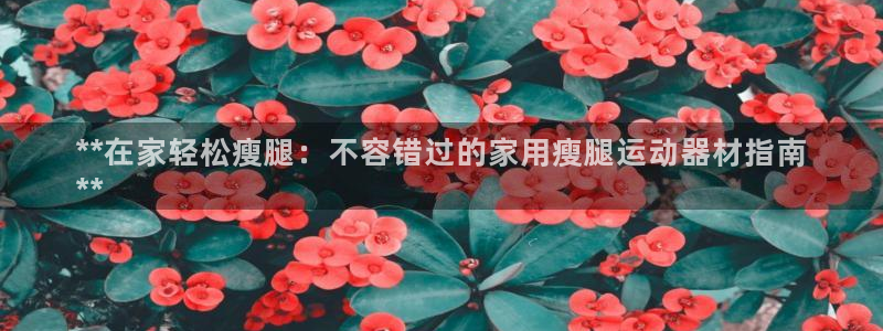 意昂体育3招商电话：**在家轻松瘦腿：不容错过的家用