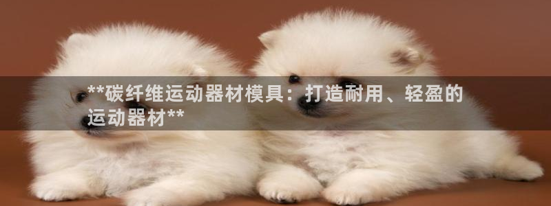 意昂体育3平台是正规平台吗知乎：**碳纤维运动器材模