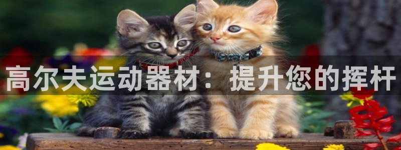 意昂体育3招商电话地址查询：高尔夫运动器材：提升您的