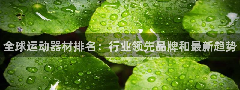 意昂体育3招商电话地址是多少：全球运动器材排名：行业
