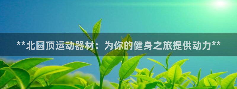 意昂3科技：**北圆顶运动器材：为你的健身之旅提供动