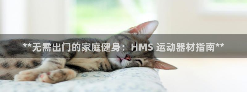 意昂3集团官网网址：**无需出门的家庭健身：HMS 