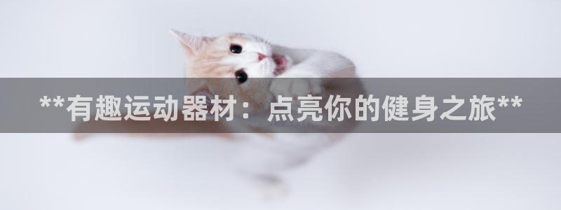 意昂3集团：**有趣运动器材：点亮你的健身之旅**