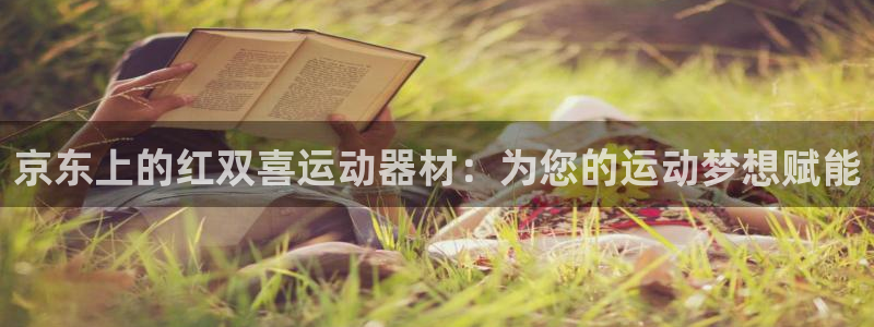 意昂3开户：京东上的红双喜运动器材：为您的运动梦想赋