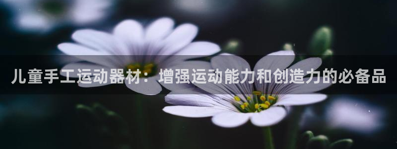 德国意昂3集团：儿童手工运动器材：增强运动能力和创造