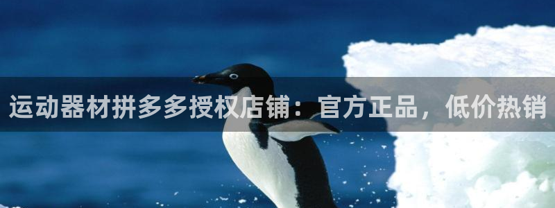 意昂3集团简介：运动器材拼多多授权店铺：官方正品，低