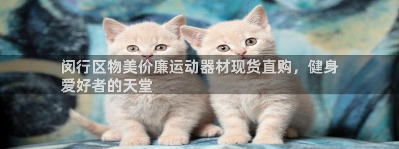 意昂体育3注册：闵行区物美价廉运动器材现货直购，健身