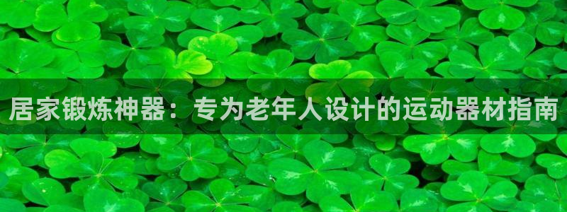 意昂3娱乐网站：居家锻炼神器：专为老年人设计的运动器