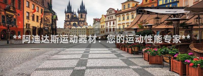 意昂3娱乐首页官网下载：**阿迪达斯运动器材：您的运
