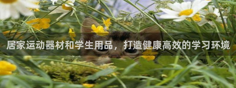 意昂体育3招商电话号码查询是多少：居家运动器材和学生