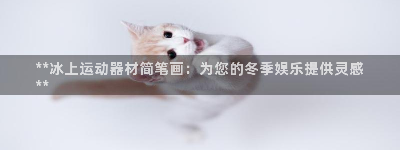 意昂体育3平台是正规平台吗知乎：**冰上运动器材简笔