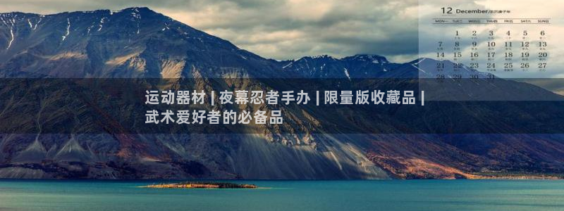 德国意昂3集团： 运动器材 | 夜幕忍者手办 | 限