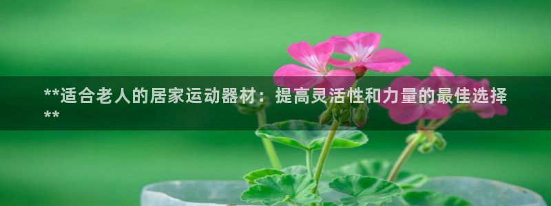 意昂体育3招商电话是多少：**适合老人的居家运动器材