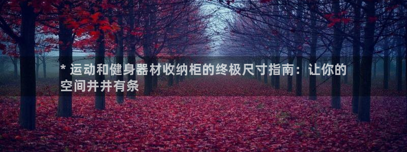 意昂体育3：* 运动和健身器材收纳柜的终极尺寸指南：