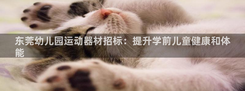 意昂体育3平台是正规平台吗安全吗：东莞幼儿园运动器材