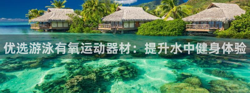 意昂3代理：优选游泳有氧运动器材：提升水中健身体验